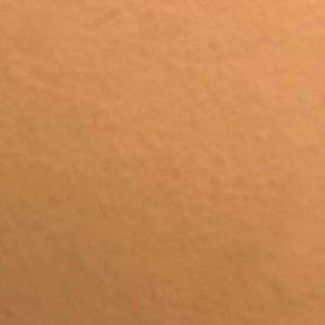 Meet your Posher, Lloyd